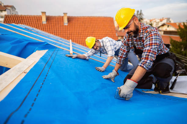 Fast & Reliable Emergency Roof Repairs in Live Oak, FL