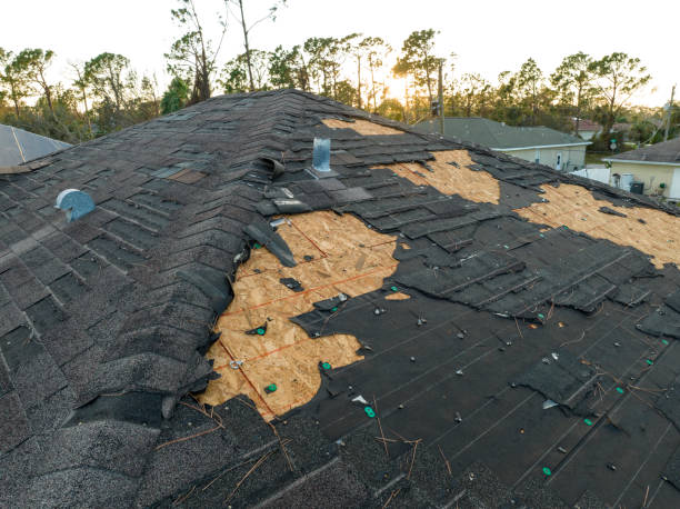 Best Roof Insulation Installation  in Live Oak, FL